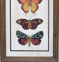 deco-murale-lepidopteres-010-708-200-3.jpg