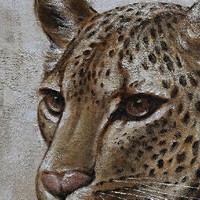 tableau-peint-leopard-200-2.jpg