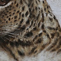 tableau-peint-leopard-200-3.jpg